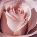 pathtoeloquence avatar