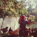 patienceavera avatar