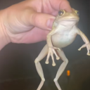 patient-zero0 avatar