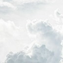 patientdreamer avatar