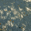 patientsisavertu avatar