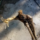 patricio-reyes avatar