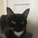 patrick-booty avatar