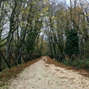 patrolofdreams avatar