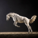 patronsaintofdying avatar