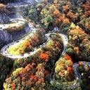 pattinsonswife avatar