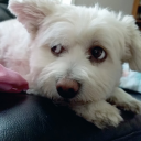 pauleontology avatar