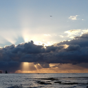 paulhlarroque avatar