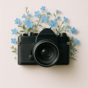 paulinaannaphotography avatar