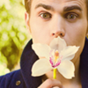 paulthomaswesley-blog1 avatar