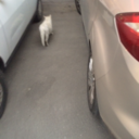 pauvreparadis avatar