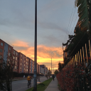 pauymaxiforever avatar