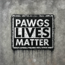 pawgslivesmatter avatar