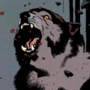 pawsandreflect avatar