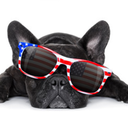 pawsitivetailswagging-blog avatar