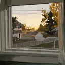 pawspaintsnthings avatar