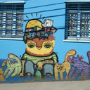 pawsvalparaiso avatar