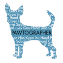 pawtographer avatar