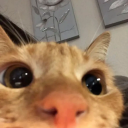 pay-your-dues avatar