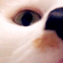 payden-teeple avatar