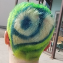 payloadofgeckos avatar