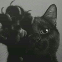 paz-amor-vida avatar