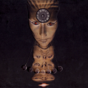 pckel22 avatar