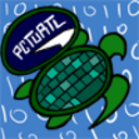 pcturtl avatar