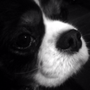 peace-love-slumber avatar