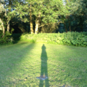 peaceandplants avatar