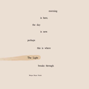 peaceful-pxradise avatar