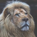 peaceful-souls-blog avatar