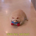 peacefulbadvibes avatar