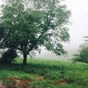 peacefulplaces avatar