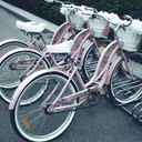 peacefulshipper avatar