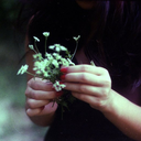 peacesvalidity avatar