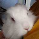 peaches-and-cream0 avatar