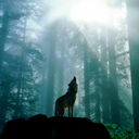 peachesnplumsblog avatar