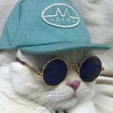 peachiestplum avatar