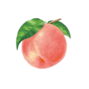 peachmilk avatar