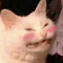 peachringrebel avatar