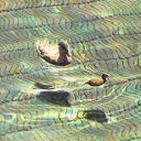 peachselenite avatar