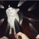 peachyys-posts avatar