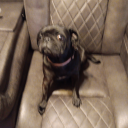 peanut-420l avatar