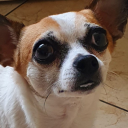 peanutbutterstotch avatar