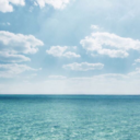 pearljackson19 avatar