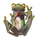 pearlshapedthoughts avatar