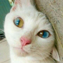 pearlthesaltiest avatar