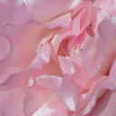 pebblemaninoff avatar