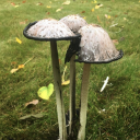 pebblesgoclickclack avatar